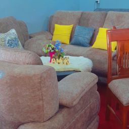 Sofa set and dinner set