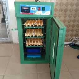 Incubators machine