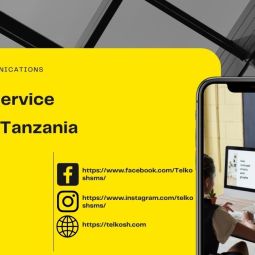 The Future of Bulk SMS in Tanzania: Trends and Predictions-Telkosh