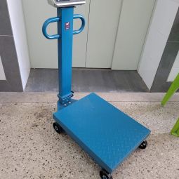 Digital platform scale 600 Kg