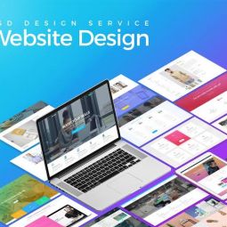 Website designer and hosting